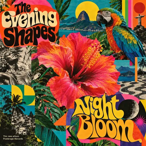 Brazilian Tropicália style album cover for a fictional album: Night Bloom