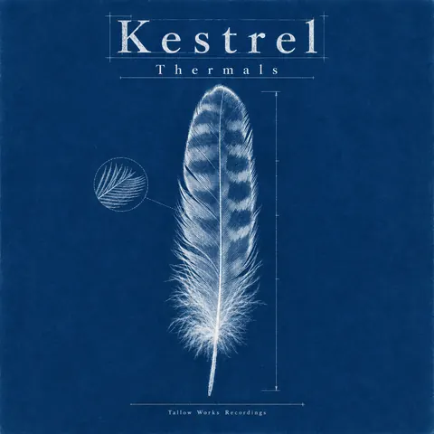 Cyanotype / Blueprint style album cover for a fictional album: Thermals