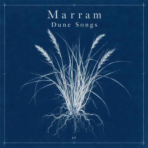 Cyanotype / Blueprint style album cover for a fictional single: Dune Songs