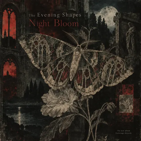 4AD Records style album cover for a fictional album: Night Bloom