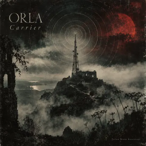 4AD Records style album cover for a fictional album: Carrier