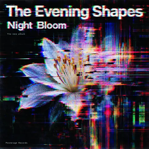 Glitch Art style album cover for a fictional album: Night Bloom