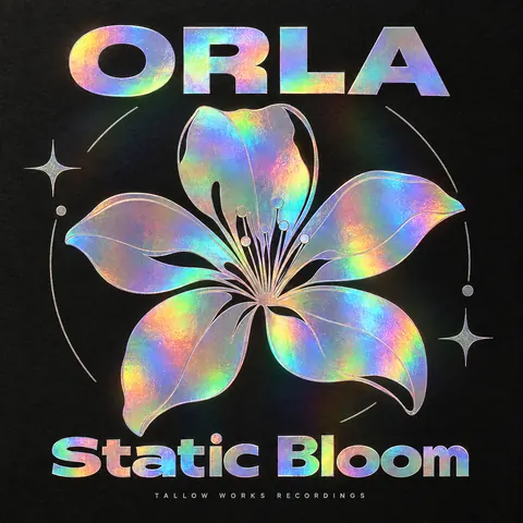 Holographic Foil style album cover for a fictional single: Static Bloom