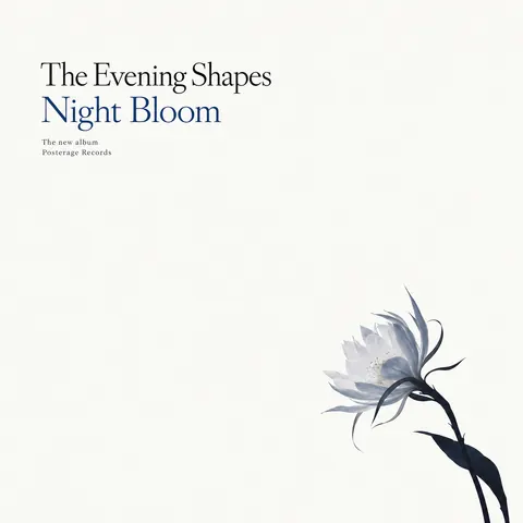 Japanese Minimal Poster style album cover for a fictional album: Night Bloom