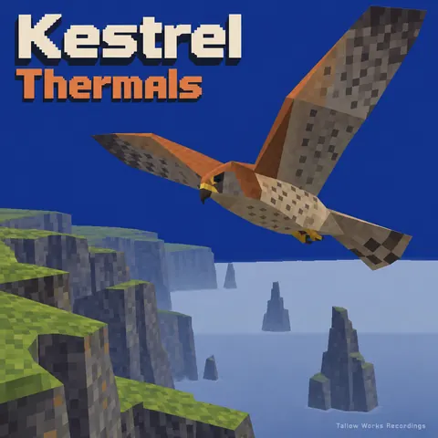 Low Poly style album cover for a fictional album: Thermals