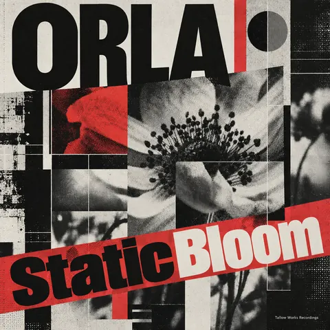 New Wave Typography style album cover for a fictional single: Static Bloom