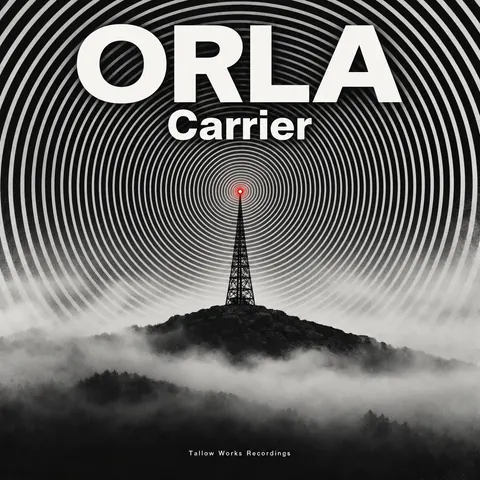 Op Art style album cover for a fictional album: Carrier