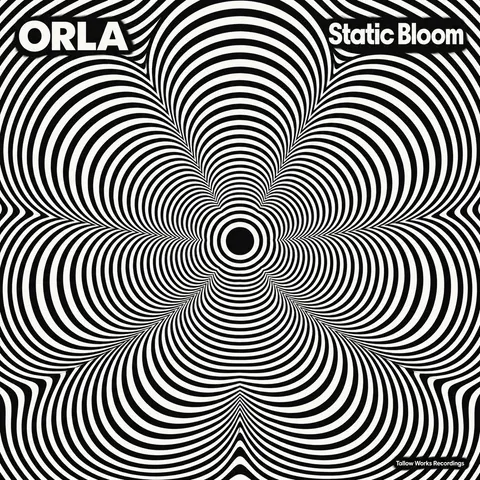 Op Art style album cover for a fictional single: Static Bloom