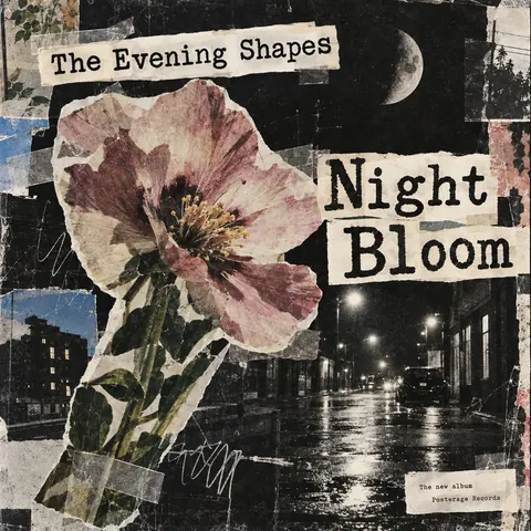 Zine Cut-and-Paste style album cover for a fictional album: Night Bloom