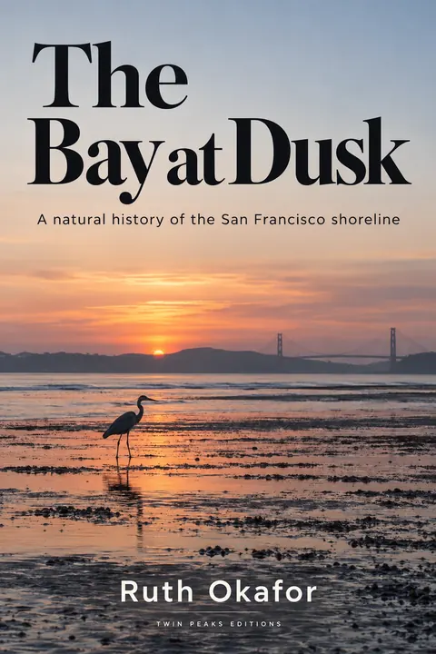 Contemporary Editorial style book cover for a fictional nonfiction: The Bay at Dusk